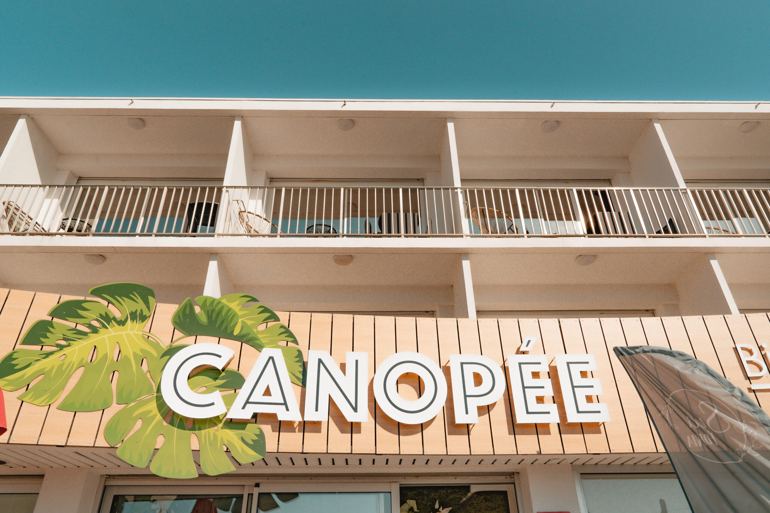 Déguster | Logo Canopee 2 scaled Logo Canopee 2 scaled